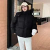 New-Style Winter Padded Hooded Coat Women Short Thick Fashionable Coat Jacket Zipper Loose-Fit Designer-Inspired